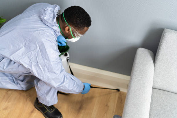 Best Pest Control for Multi-Family Homes  in Knoxvle, IL